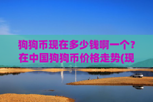 狗狗币现在多少钱啊一个？在中国狗狗币价格走势(现价2.8869元)