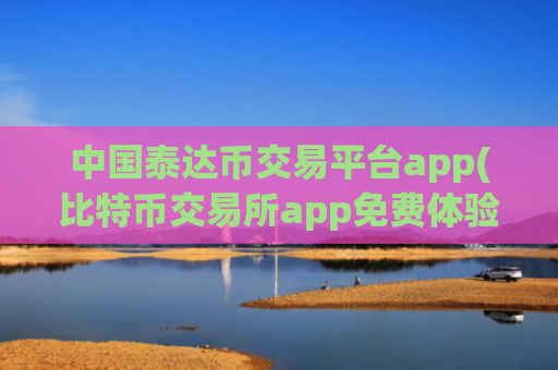 中国泰达币交易平台app(比特币交易所app免费体验)