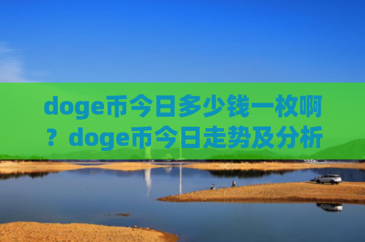 doge币今日多少钱一枚啊？doge币今日走势及分析(现价2.8935元)