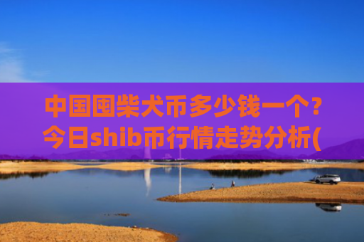 中国囤柴犬币多少钱一个？今日shib币行情走势分析(现价0.00019856元)