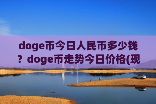 doge币今日人民币多少钱？doge币走势今日价格(现价2.8908元)