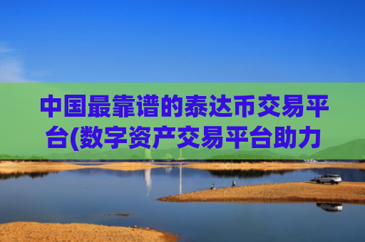 中国最靠谱的泰达币交易平台(数字资产交易平台助力数字资产交易)