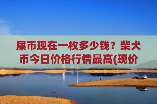 屎币现在一枚多少钱？柴犬币今日价格行情最高(现价0.00020008元)
