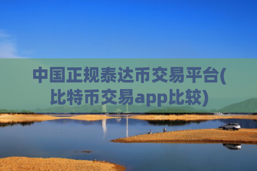 中国正规泰达币交易平台(比特币交易app比较)