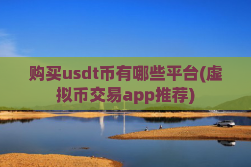 购买usdt币有哪些平台(虚拟币交易app推荐)