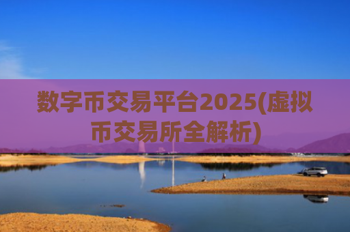 数字币交易平台2025(虚拟币交易所全解析)
