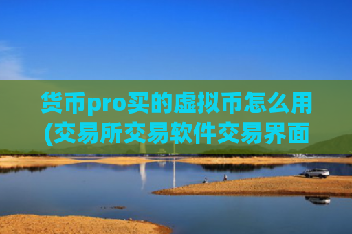 货币pro买的虚拟币怎么用(交易所交易软件交易界面清晰)