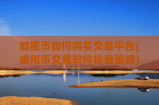 加密币如何购买交易平台(虚拟币交易软件操盘策略)