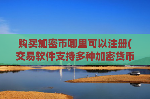 购买加密币哪里可以注册(交易软件支持多种加密货币交易)