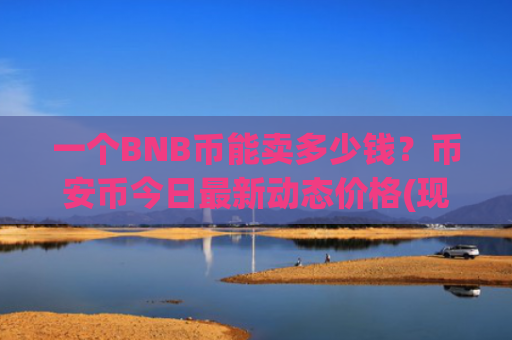 一个BNB币能卖多少钱？币安币今日最新动态价格(现价5012.25元)