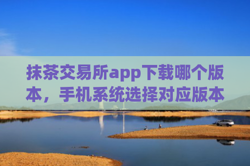 抹茶交易所app下载哪个版本，手机系统选择对应版本下载