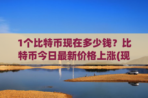 1个比特币现在多少钱？比特币今日最新价格上涨(现价709921.02元)