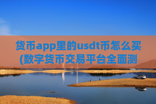 货币app里的usdt币怎么买(数字货币交易平台全面测评)