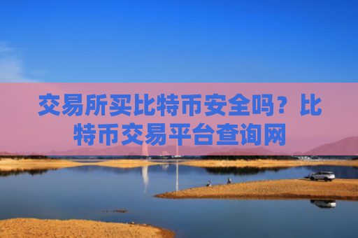 交易所买比特币安全吗？比特币交易平台查询网