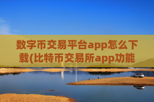 数字币交易平台app怎么下载(比特币交易所app功能评测)