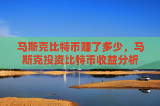 马斯克比特币赚了多少，马斯克投资比特币收益分析