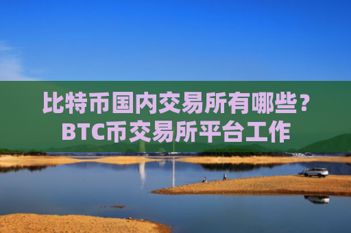 比特币国内交易所有哪些?BTC币交易所平台工作