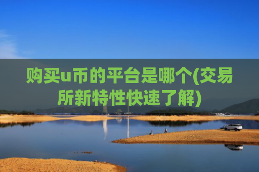 购买u币的平台是哪个(交易所新特性快速了解)