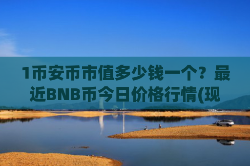 1币安币市值多少钱一个？最近BNB币今日价格行情(现价4962.88元)