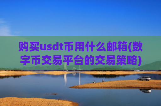 购买usdt币用什么邮箱(数字币交易平台的交易策略)