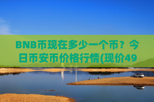 BNB币现在多少一个币？今日币安币价格行情(现价4993.56元)