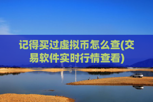 记得买过虚拟币怎么查(交易软件实时行情查看)