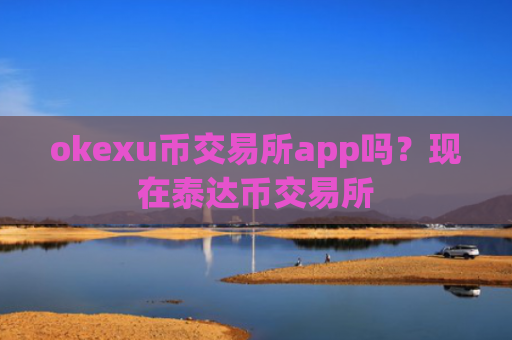 okexu币交易所app吗?现在泰达币交易所