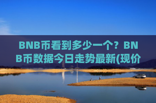 BNB币看到多少一个？BNB币数据今日走势最新(现价5001.33元)