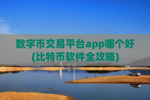 数字币交易平台app哪个好(比特币软件全攻略)