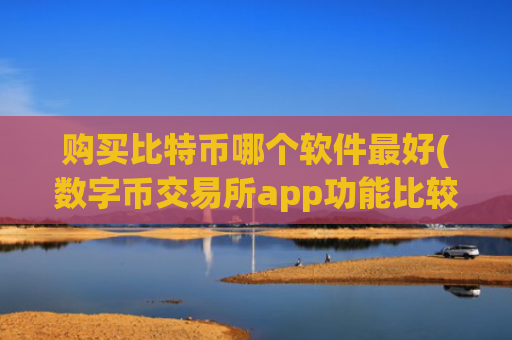 购买比特币哪个软件最好(数字币交易所app功能比较)