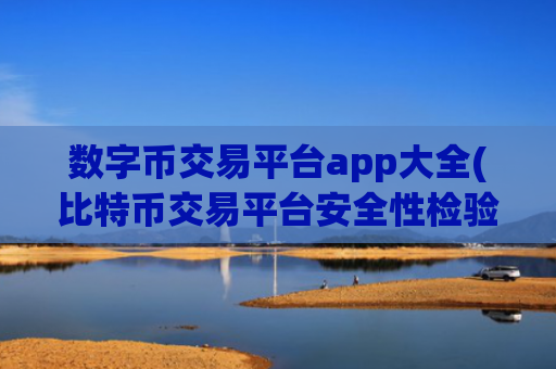数字币交易平台app大全(比特币交易平台安全性检验)