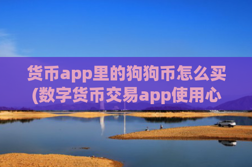 货币app里的狗狗币怎么买(数字货币交易app使用心得)