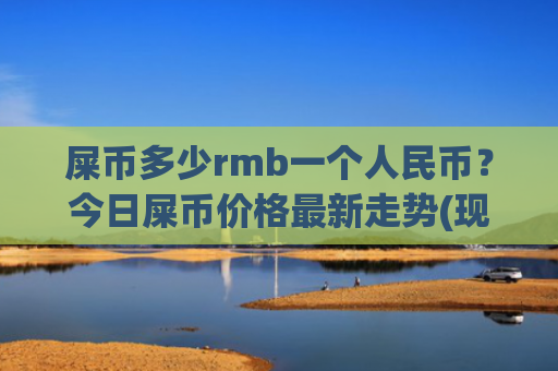 屎币多少rmb一个人民币？今日屎币价格最新走势(现价0.00019535元)
