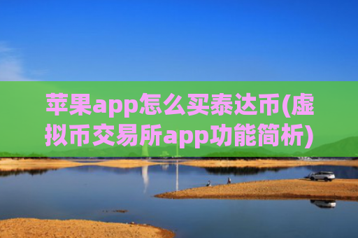 苹果app怎么买泰达币(虚拟币交易所app功能简析)