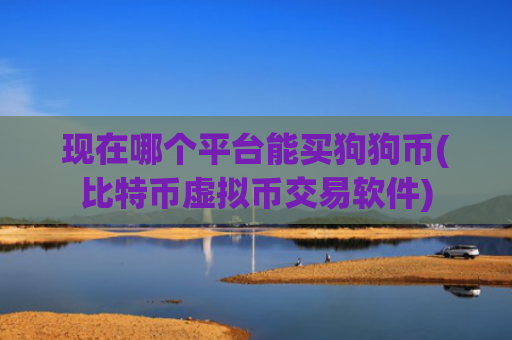 现在哪个平台能买狗狗币(比特币虚拟币交易软件)