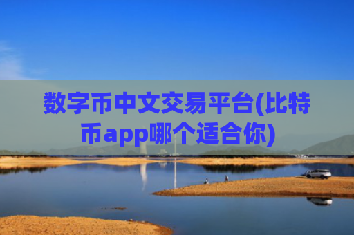 数字币中文交易平台(比特币app哪个适合你)