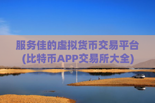 服务佳的虚拟货币交易平台(比特币APP交易所大全)