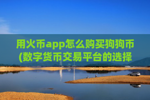 用火币app怎么购买狗狗币(数字货币交易平台的选择指南)