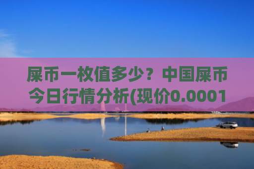 屎币一枚值多少？中国屎币今日行情分析(现价0.00019147元)