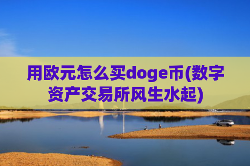 用欧元怎么买doge币(数字资产交易所风生水起)