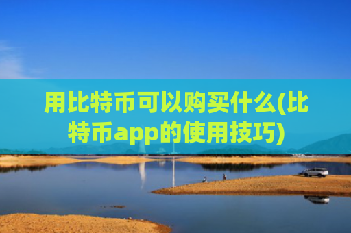 用比特币可以购买什么(比特币app的使用技巧)