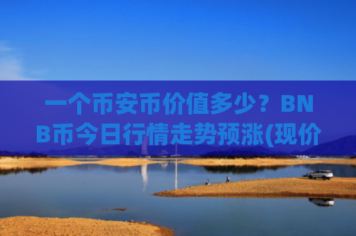一个币安币价值多少？BNB币今日行情走势预涨(现价5014.01元)