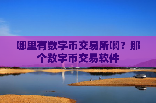 哪里有数字币交易所啊？那个数字币交易软件