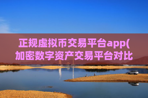 正规虚拟币交易平台app(加密数字资产交易平台对比分析)
