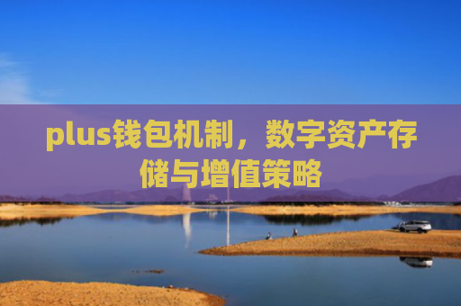 plus钱包机制，数字资产存储与增值策略