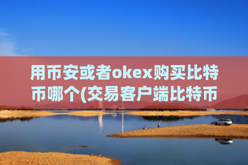 用币安或者okex购买比特币哪个(交易客户端比特币交易)