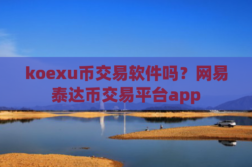 koexu币交易软件吗？网易泰达币交易平台app