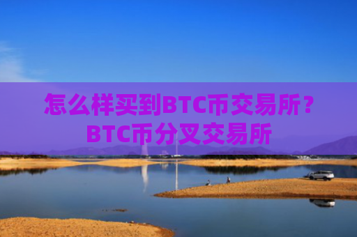 怎么样买到BTC币交易所?BTC币分叉交易所