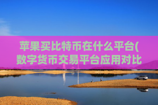 苹果买比特币在什么平台(数字货币交易平台应用对比)