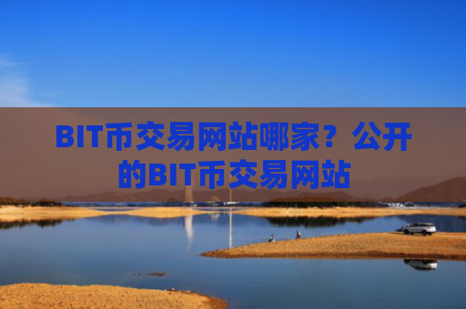BIT币交易网站哪家？公开的BIT币交易网站